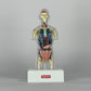 Supreme Male Anatomy Model Clear