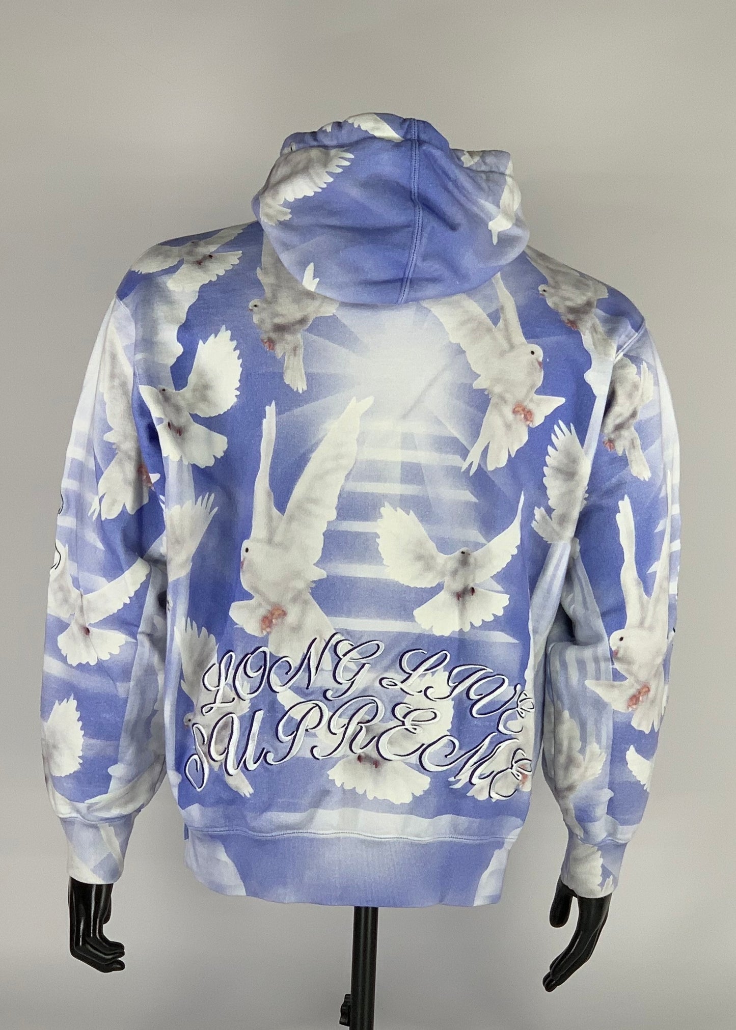 Supreme Doves Hooded Sweatshirt (SS22) Blue