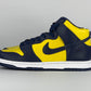 Nike Dunk High Michigan (2020)