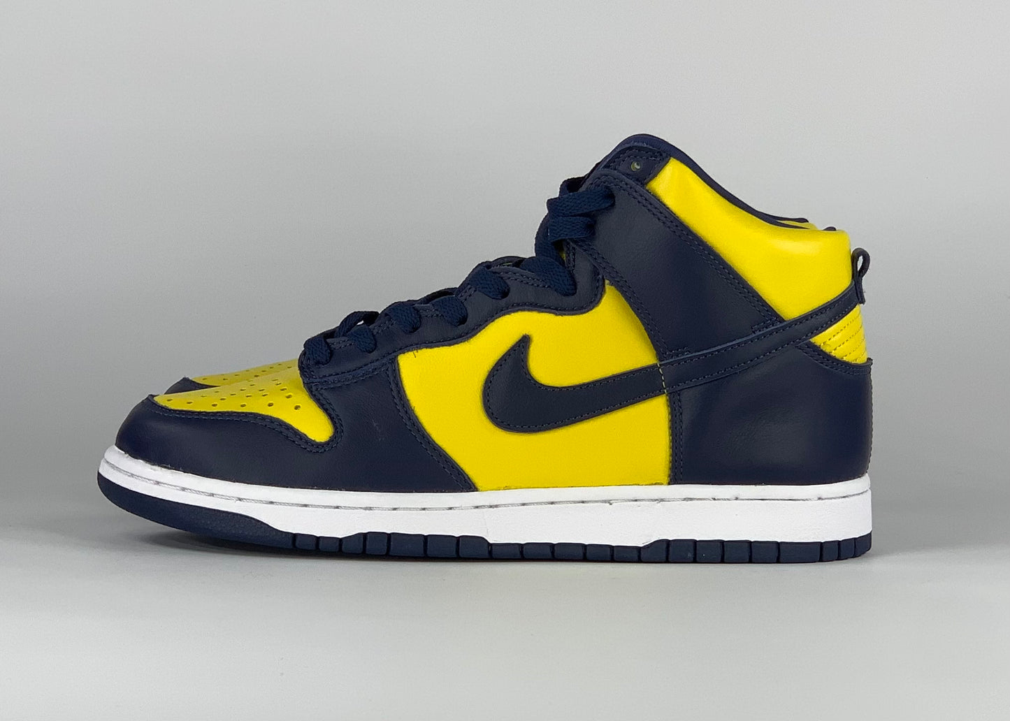 Nike Dunk High Michigan (2020)