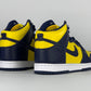 Nike Dunk High Michigan (2020)
