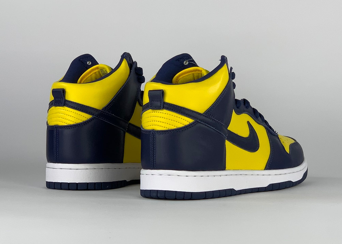 Nike Dunk High Michigan (2020)