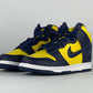 Nike Dunk High Michigan (2020)