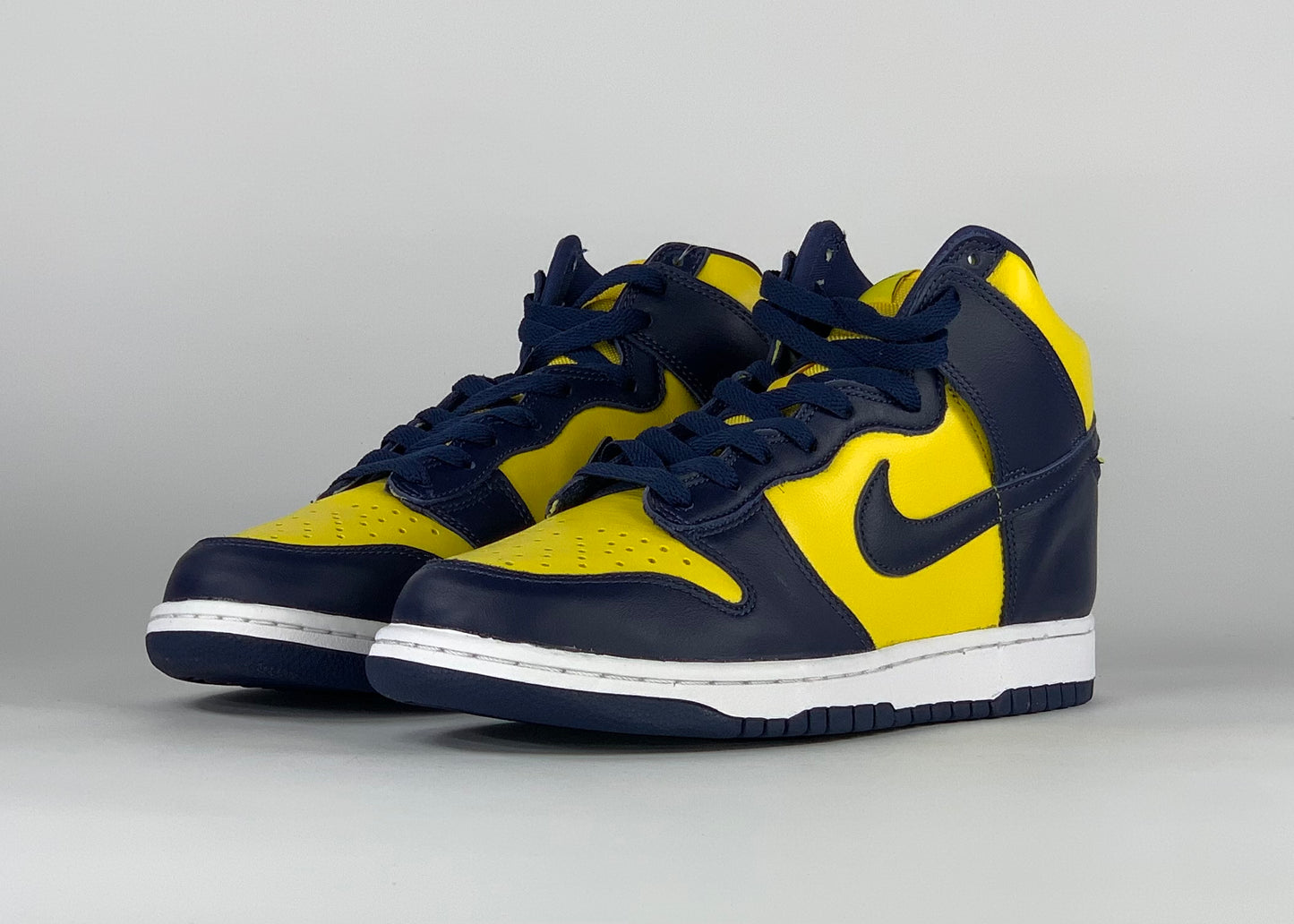 Nike Dunk High Michigan (2020)